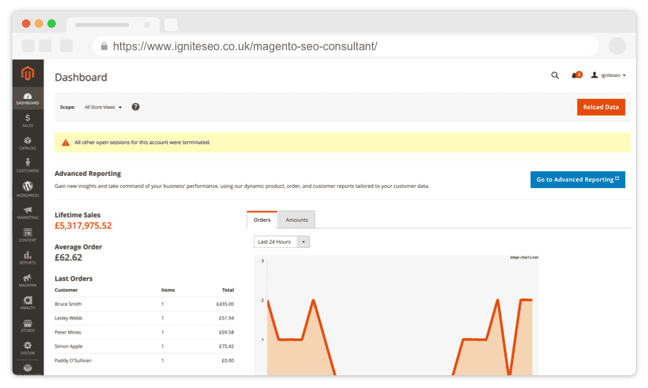 Magento SEO Consultant