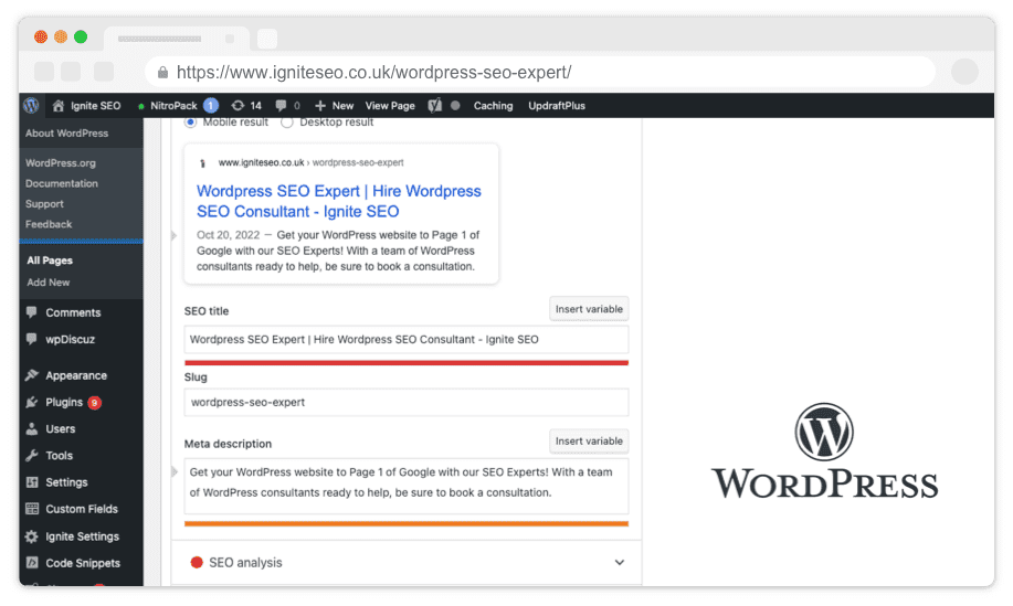 Wordpress SEO Expert